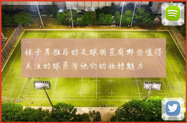 袜子男推荐的足球明星有哪些值得关注的球员与他们的独特魅力