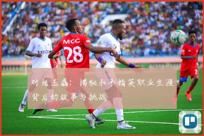 对话王磊：揭秘和平精英职业生涯背后的故事与挑战