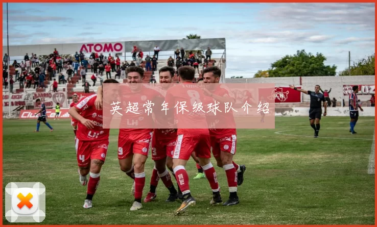 英超常年保级球队介绍
