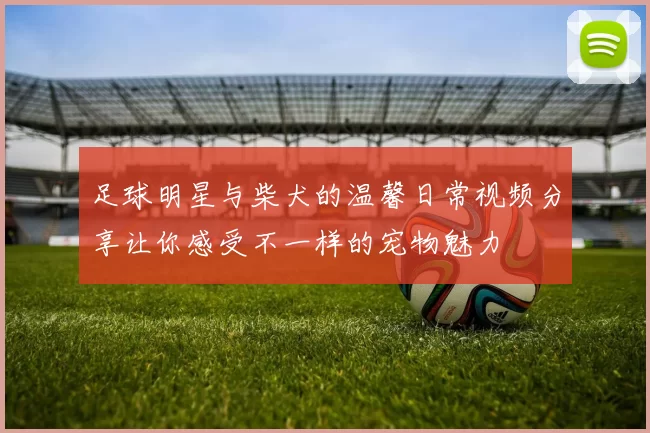 足球明星与柴犬的温馨日常视频分享让你感受不一样的宠物魅力