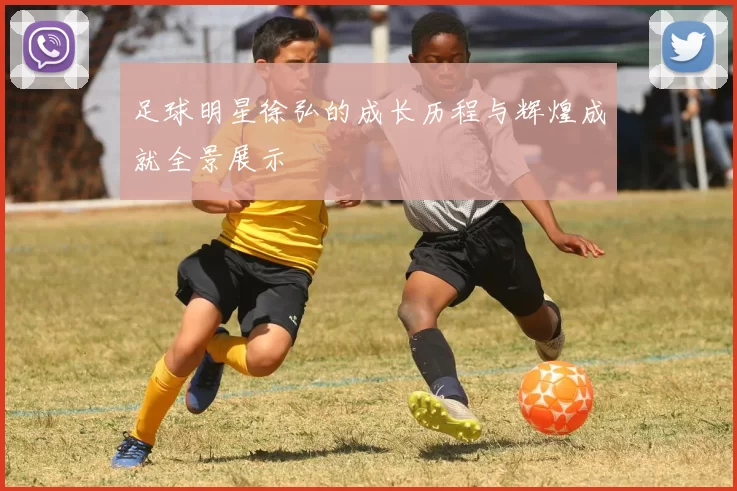 足球明星徐弘的成长历程与辉煌成就全景展示