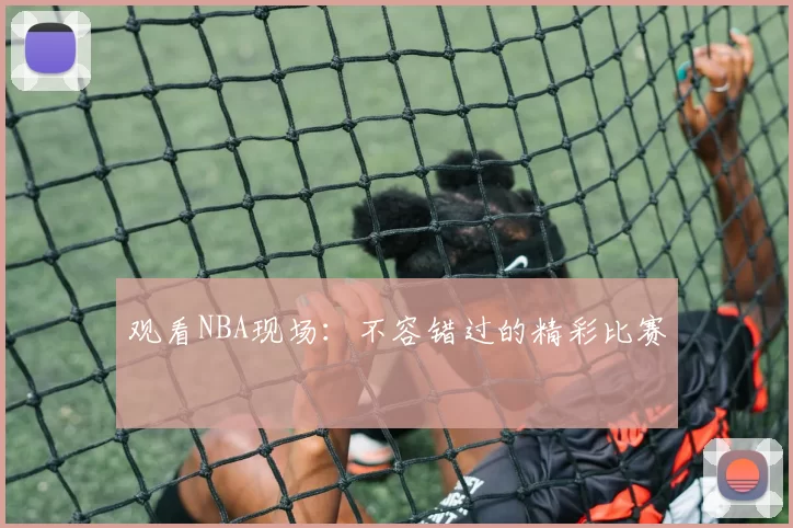 观看NBA现场：不容错过的精彩比赛