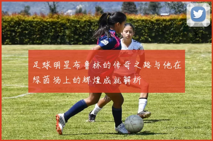 足球明星布鲁林的传奇之路与他在绿茵场上的辉煌成就解析