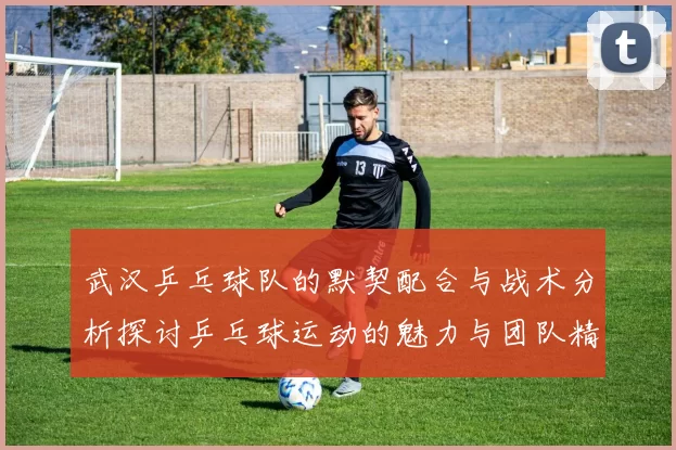 武汉乒乓球队的默契配合与战术分析探讨乒乓球运动的魅力与团队精神