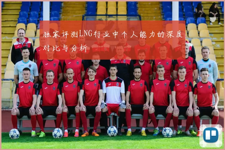 独家评测LNG行业中个人能力的深度对比与分析