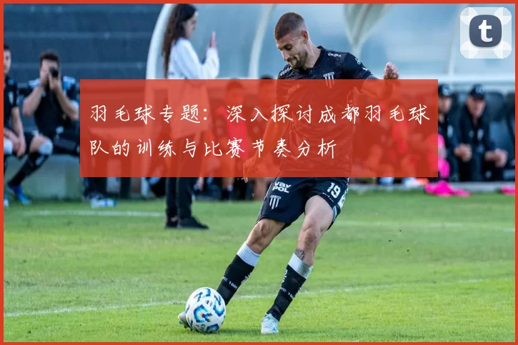 羽毛球专题：深入探讨成都羽毛球队的训练与比赛节奏分析