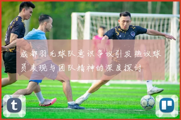 成都羽毛球队意识争议引发热议球员表现与团队精神的深度探讨