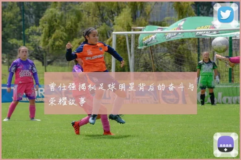 曾仕强揭秘足球明星背后的奋斗与荣耀故事