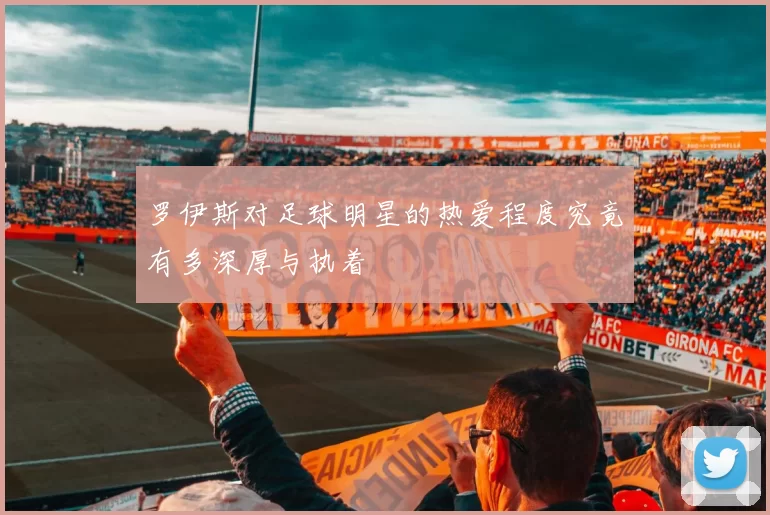 罗伊斯对足球明星的热爱程度究竟有多深厚与执着