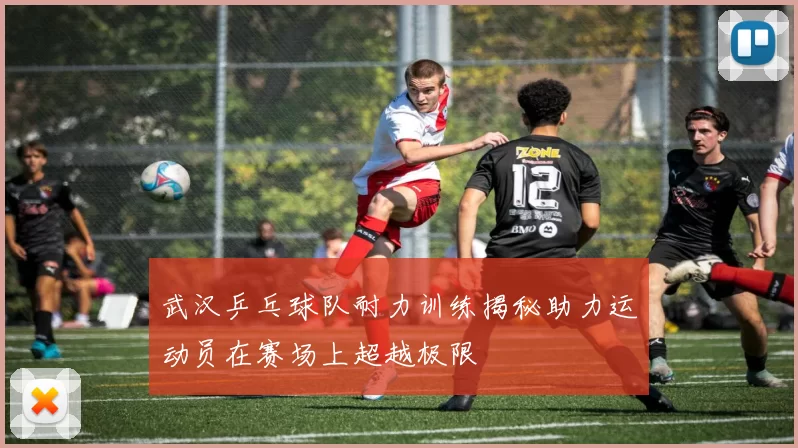 武汉乒乓球队耐力训练揭秘助力运动员在赛场上超越极限