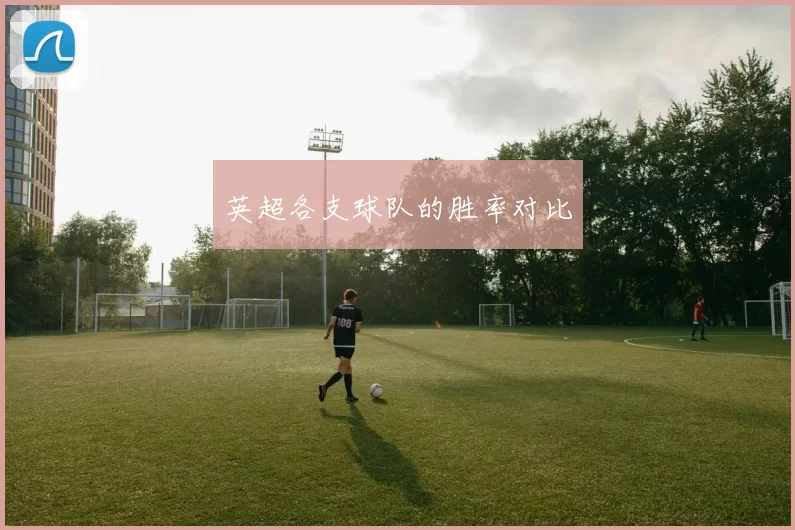 英超各支球队的胜率对比