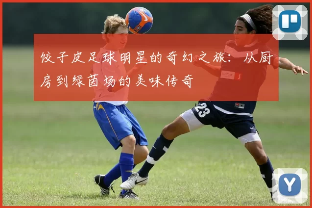 饺子皮足球明星的奇幻之旅：从厨房到绿茵场的美味传奇