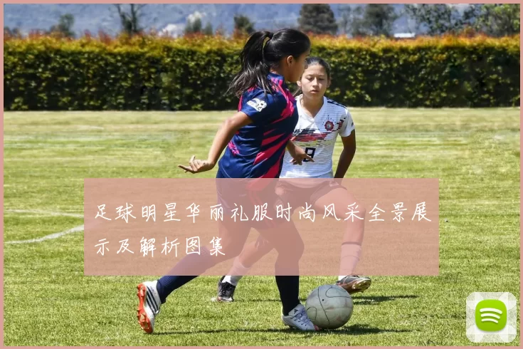 足球明星华丽礼服时尚风采全景展示及解析图集
