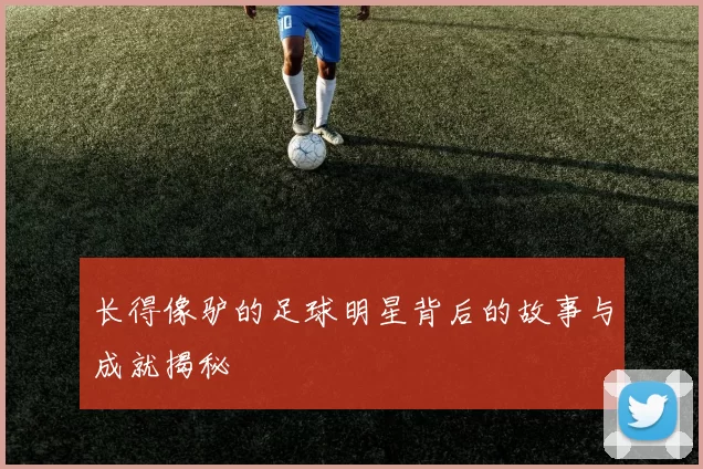 长得像驴的足球明星背后的故事与成就揭秘