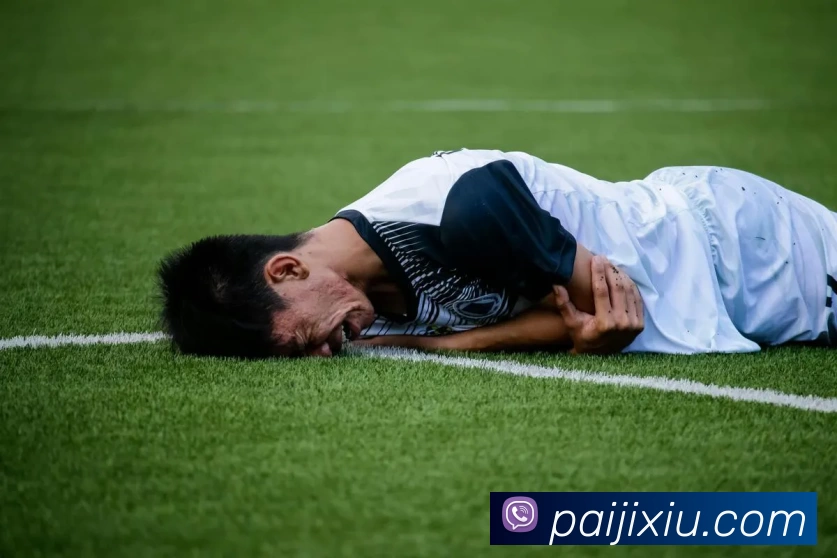 jiuyougame平台生态图